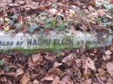 image of grave number 366113